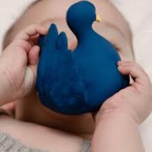 Natruba Bath Toy Peacock Art.251332 Povas pagamintas iš 100 % natūralios gumos