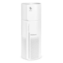 Webber AP8250 oro valytuvas