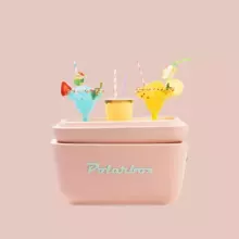 Polarbox Cool Box Retro Cooler Art.255941 Turquoise Camping Refrigerator 12L