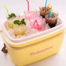 Polarbox Cool Box Retro Cooler Art.256940 Pink Camping Refrigerator 20L