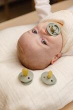 Bibs Studio Colour Round Art.257316 Woodhuck Pacifier, 100% natural  18+  (2pcs)
