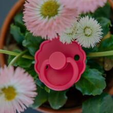 Frigg Daisy Round Latex Art.76221485 Blush/Cotton candy Pacifier (nipple) made of 100% natural rubber 0-6 months (2 pcs.)