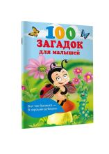 Kids Book Art.26328 100 mįslių mažiesiems