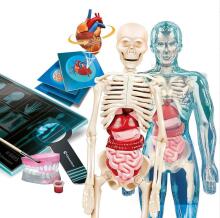 Science Fun Super Anatomy Polish Language Clementoni 50919