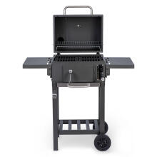 Berdsen BD-892 Anglinis Grilis