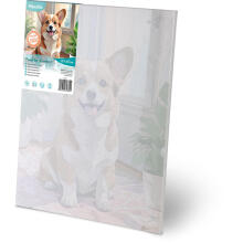 Paveikslas pagal numerius 40x50 cm Massido Corgi šuo