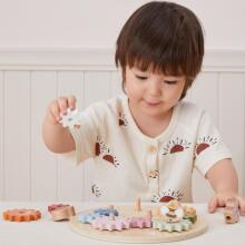 VIGA PolarB Mediniai Spalvoti Pavaros Montessori