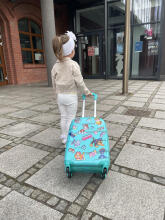 Paw Patrol Suitcase  Art.BC-PP-009  Vaikų lagaminas ant ratų