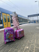 Paw Patrol Suitcase Ride On Art.BC-PP-004 lagaminas-sėdynė su ratukais 3in1