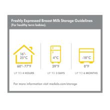 Medela Breast Milk Bottles Art.0074 2 psc