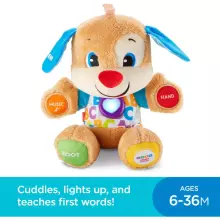 Fisher Price Laugh and Learn Herbew Learning Puppy Art. FPN77 Learned Interactive Puppy/Doggy (Herbew)