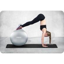 75 cm Exercise Ball NS-952 Silver