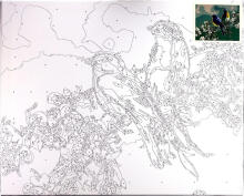 Paveikslas pagal numerius - 50593 - Paukščiai ant šakos - dydis 40x50 cm
