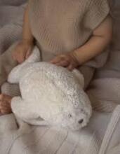 Moonie 2.0 Organic Humming Seal Art.285929 Powder  Children's night light "Seal", from 0 months.