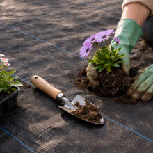 Black UV-resistant agro fabric 150 g/m² weed control mat 1.6×20 m, pins, MultiGarden