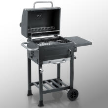 Berdsen BD-894 Anglies Grilis