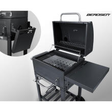 Berdsen BD-894 Anglies Grilis
