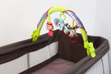 Babymoov Activity Arch Art.A105403 Дуга с игрушками