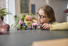 LEGO Minecraft Sakurų Sodas
