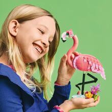 LEGO Creator laukiniai gyvūnai: Rožinė flamingo