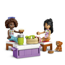 LEGO Friends Draugystės Kelionės Automobilis
