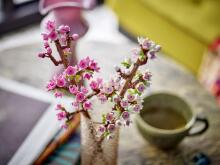 LEGO Cherry Blossoms