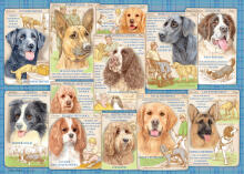 Ravensburger dėlionė 1000 vnt. Paklusnūs šunys