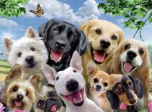 Ravensburger XXL dėlionė 300 vnt. Džiaugsmingi šunys