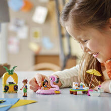 LEGO Friends Vienaragio ir Flamingo Baseino Šventė