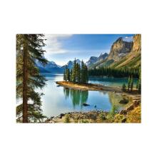Dino dėlionė 1000 vnt Maligne Lake