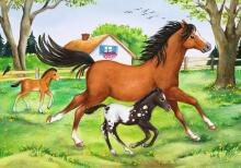 Ravensburger dėlionė 2x24 vnt. Arklių pasaulis