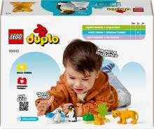 LEGO DUPLO laukinių gyvūnų šeimos: pingvinai ir liūtai