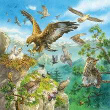 Ravensburger dėlionė 3x49 vnt. Gyvūnai