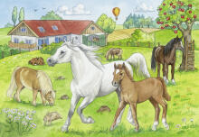 Ravensburger dėlionė 2x24 vnt. Arklių
