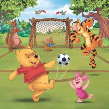 Ravensburger dėlionė 3x49 vnt. Pūkuotukas - Sporto diena