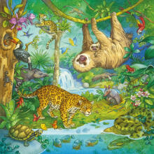 Ravensburger dėlionė 3x49 vnt. Džiunglių linksmybės