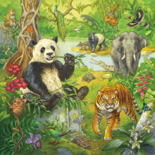 Ravensburger dėlionė 3x49 vnt. Džiunglių linksmybės