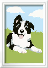 Ravensburger dažykite pagal numerius Border Collie