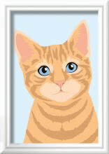 Ravensburger dažykite pagal numerius oranžinis tabby