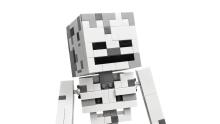 LEGO Minecraft Skeletas