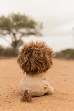 Little Dutch Cuddle Lion 17 cm Safari Friends GRS Art.8359