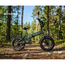 Saliekamais elektriskais velosipēds Skyjet GTIII PRO Green