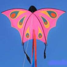 Djeco Birds Art.DJ02153