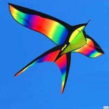 Djeco Birds Art.DJ02153