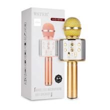 TLC Baby Microfone Art.WS-858 karaoke mikrofonas - garsiakalbis su balso keitimo efektais