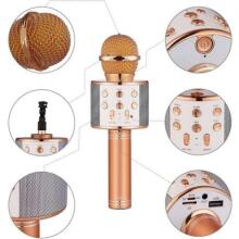 TLC Baby Microfone Art.WS-858 karaoke mikrofonas - garsiakalbis su balso keitimo efektais