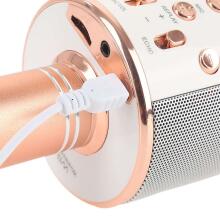TLC Baby Microfone Art.WS-858 karaoke mikrofonas - garsiakalbis su balso keitimo efektais