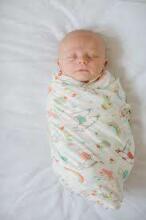 Lorelli Swaddle Muslin  Art.10340091901 Pink Stars