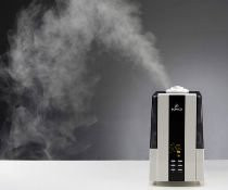 Boneco 7138 Warm/Cool Mist Humidifier