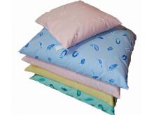Buckwheat pillow 50 x 60 cm